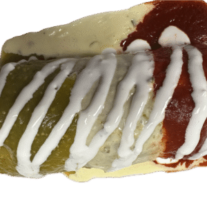 Burrito Mexico
